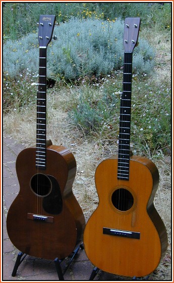 2martin5stringsful.jpg