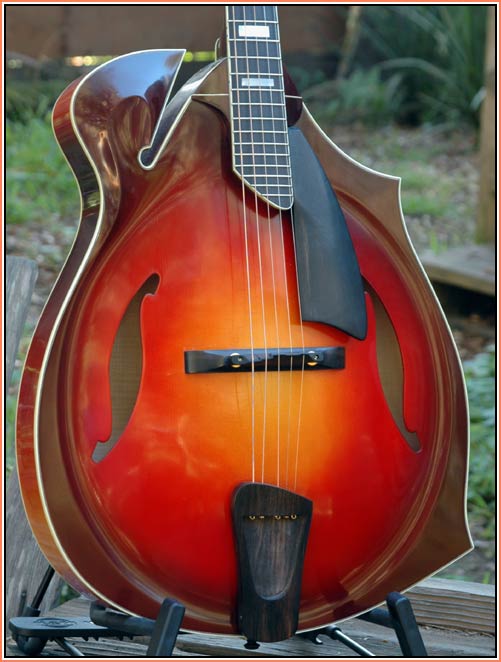 http://www.vintageinstruments.com/photos/museum/5stringtenorgiacobod.jpg